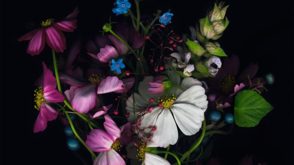 цветочные картины