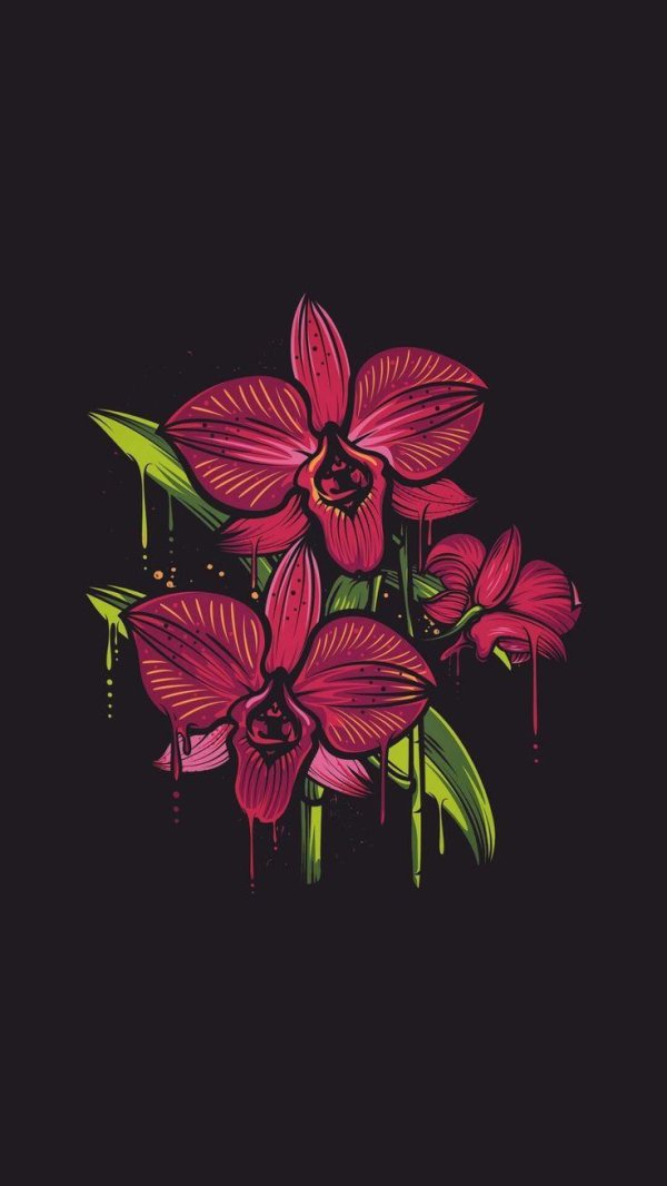 орхидея эскиз