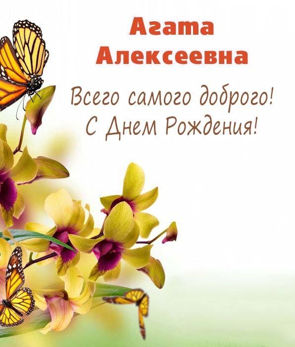 бабочка монарх баттерфляй