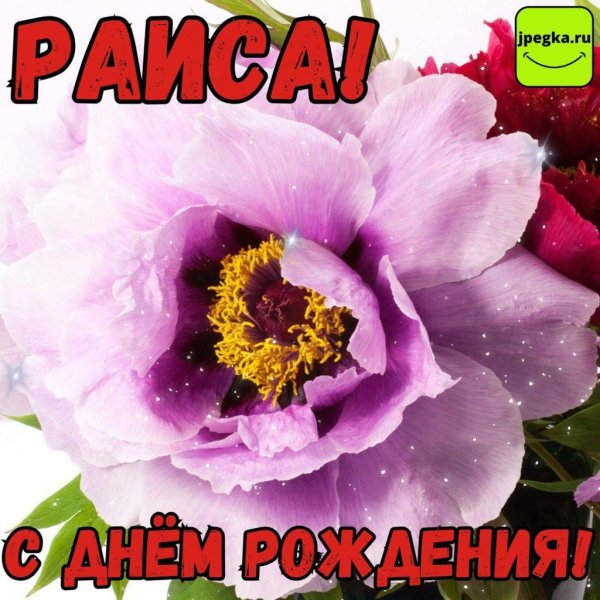 раиса с днем рождения