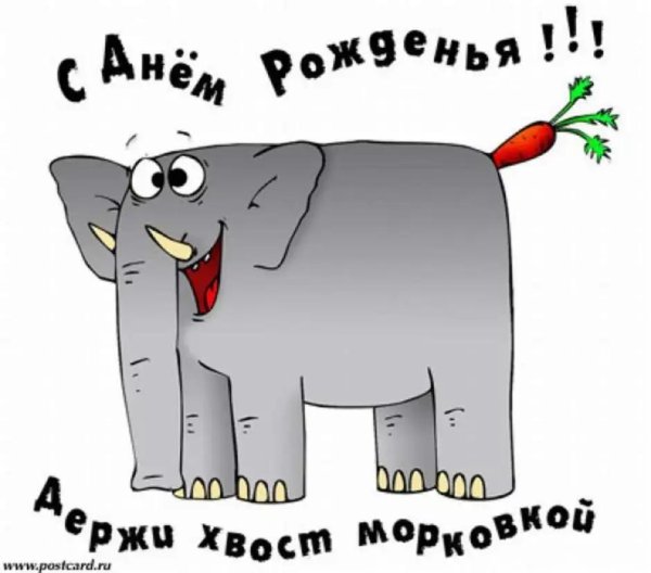 держи хвост морковкой