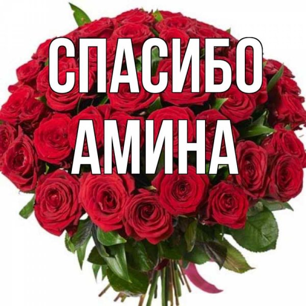 пожелания спасибо