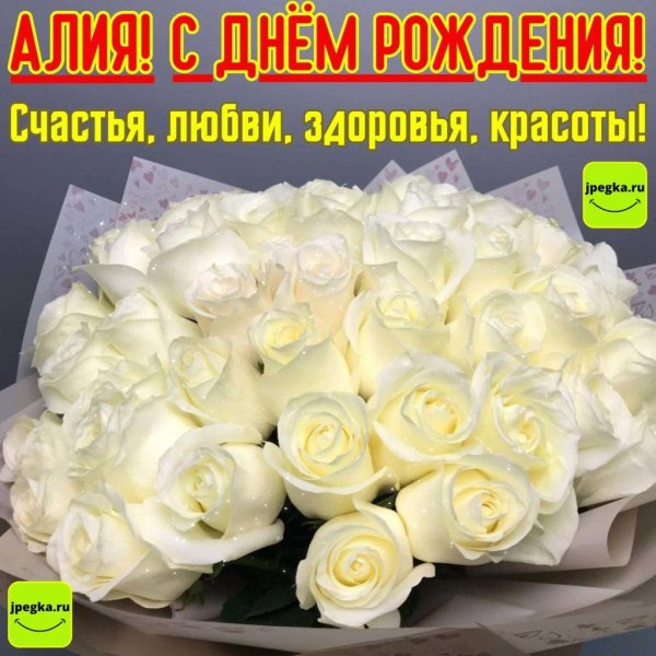 букет роз белые