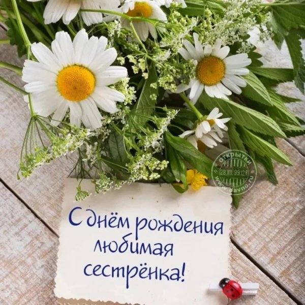 с днём рождения сестричка