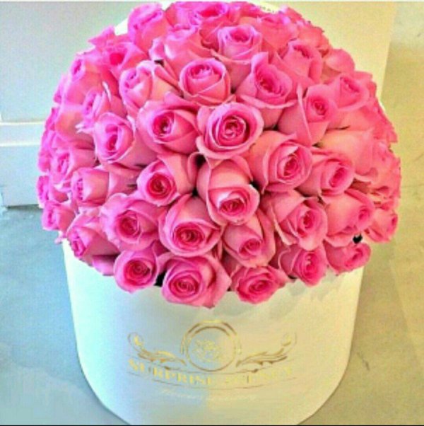 шикарные цветы в коробках