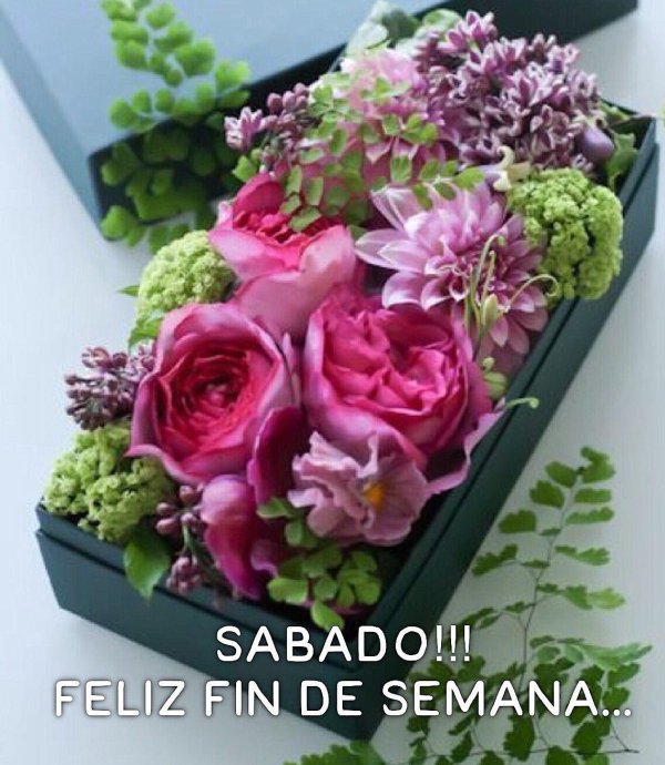 цветочный ящик