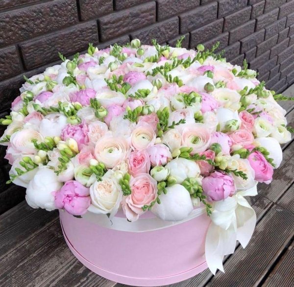 каролина фловерс