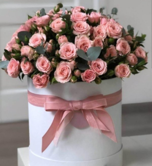 шляпная коробка