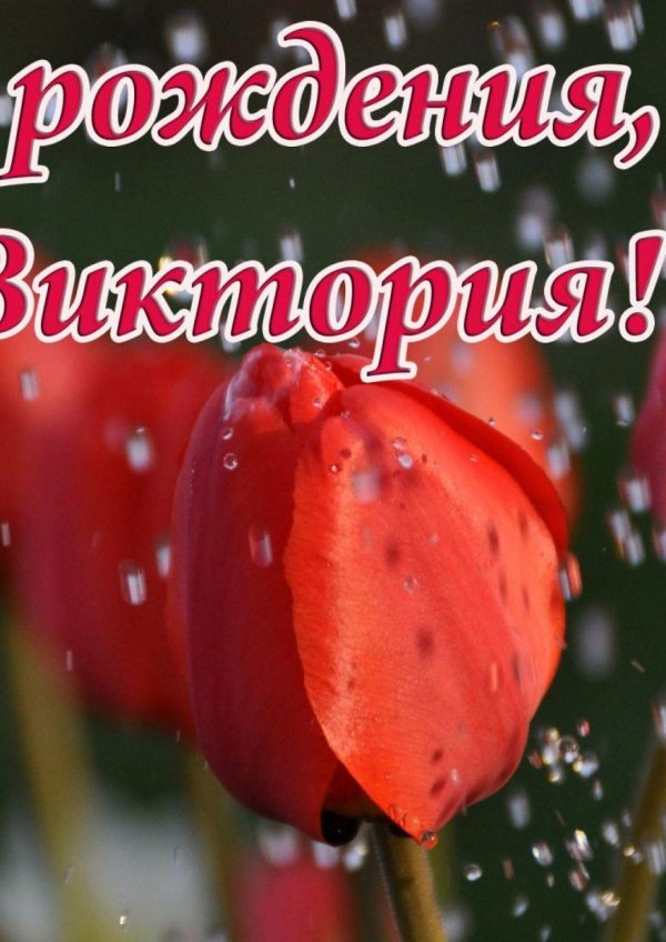 поздравление с днём рождения виктории красивые