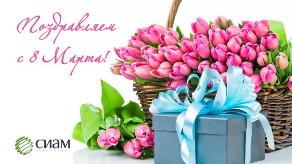 цветы на подарок