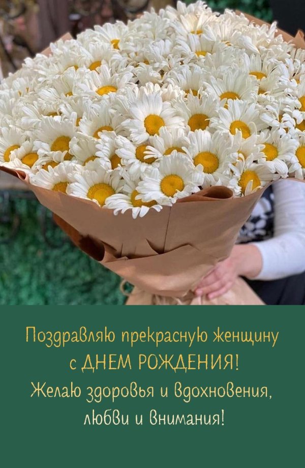 ромашки одноголовые букет