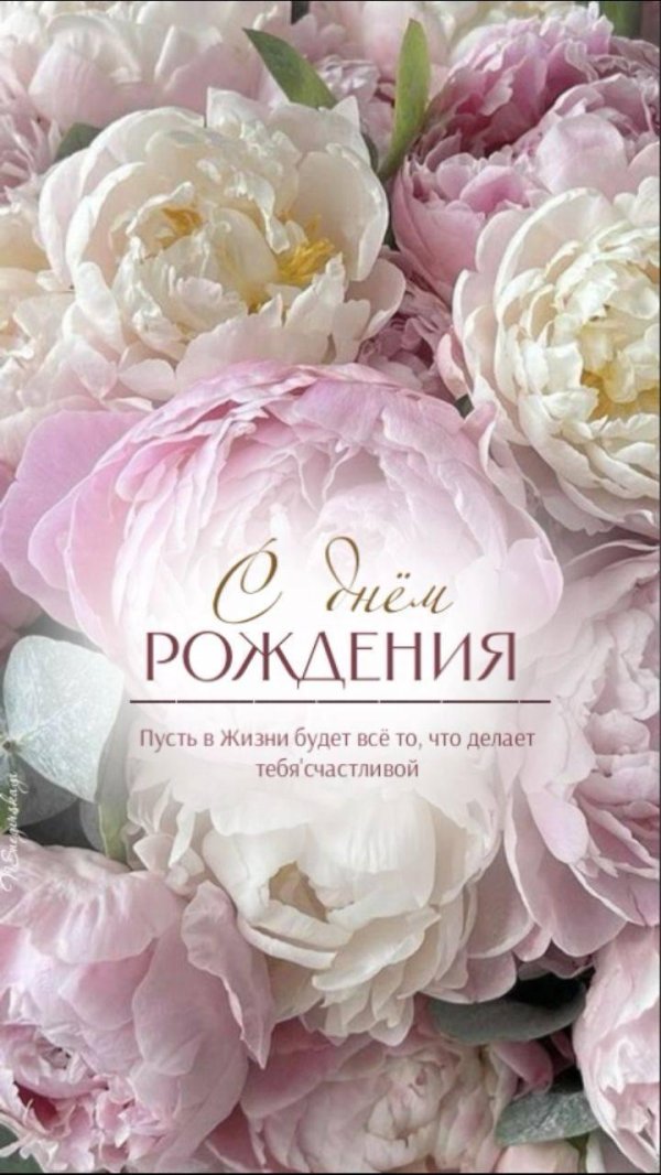 пионы с днем рождения