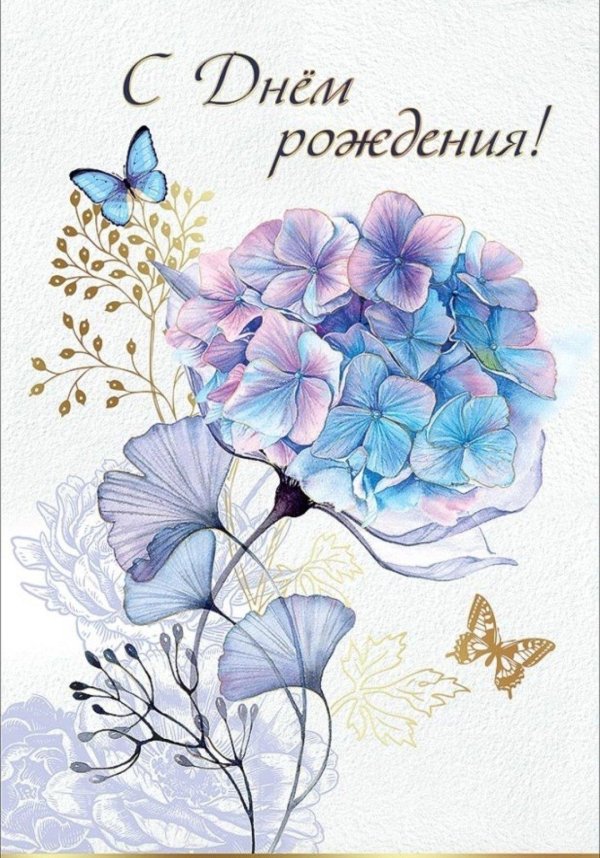 гортензия скетчинг