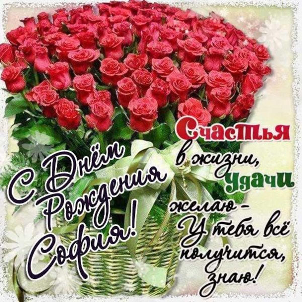 с днем рождения софии