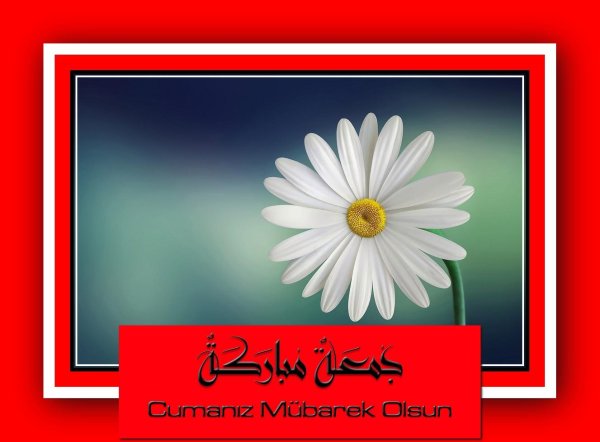 байрамыныз мубарек олсун