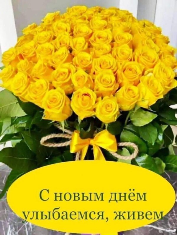 сегодня день роз