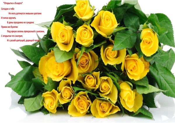 роза еллоу баблз