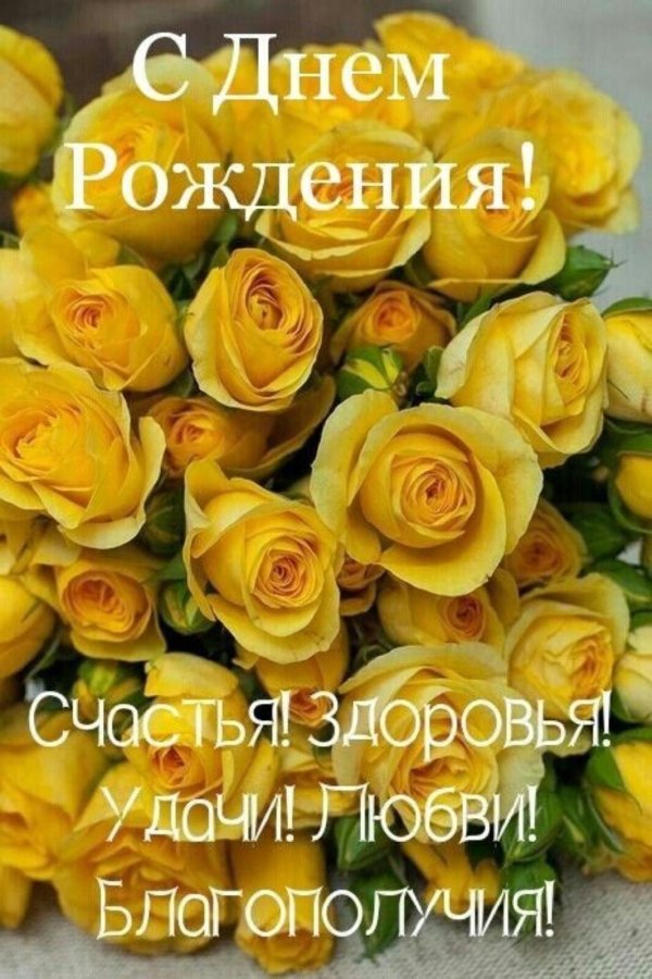 кустовая роза желтая