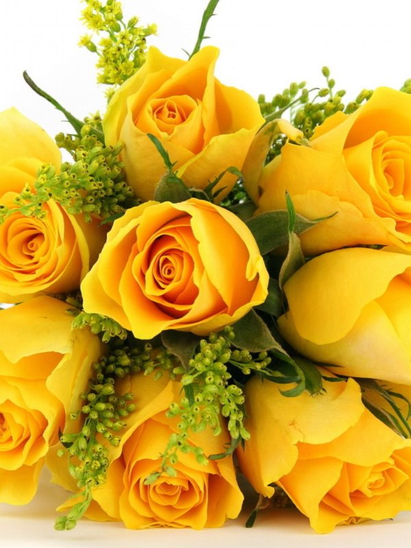 красивый желтый букет