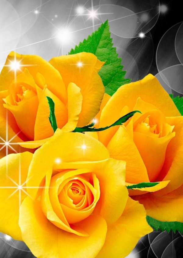 жëлтые цветы