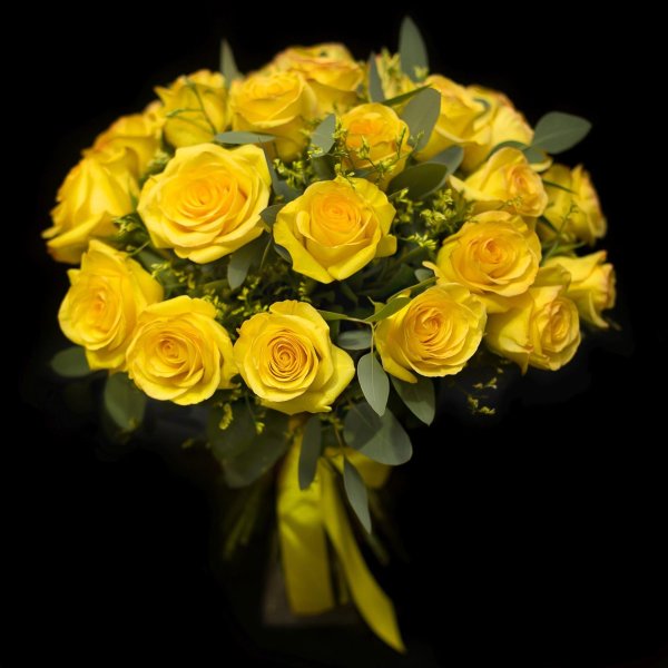 роза желтая