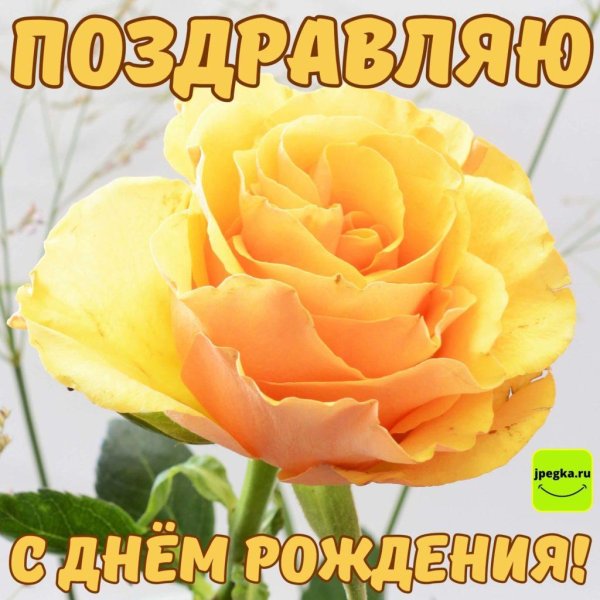 красивое поздравление с днем рождения