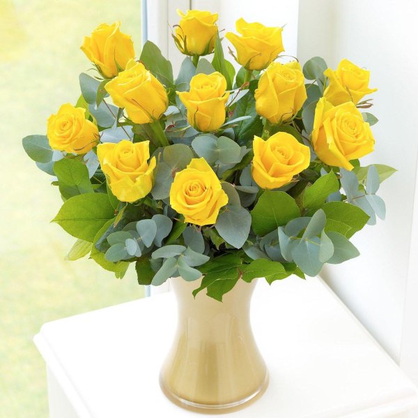 желтая роза