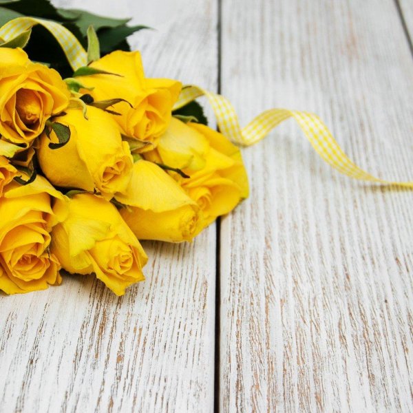 роза желтая