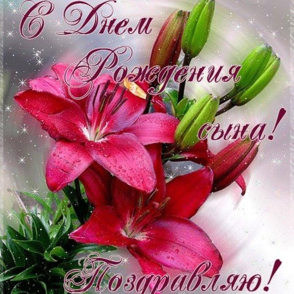 красивые лилии для тебя