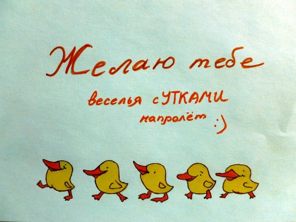 уточка рисунок