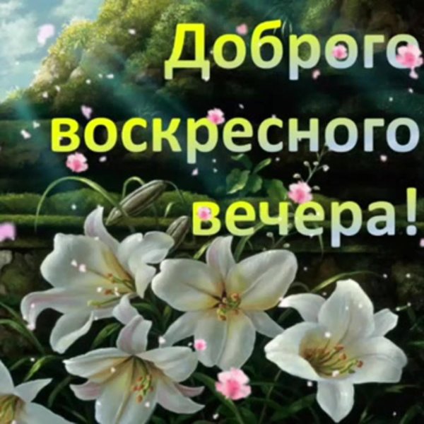 хорошего вечера воскресенья