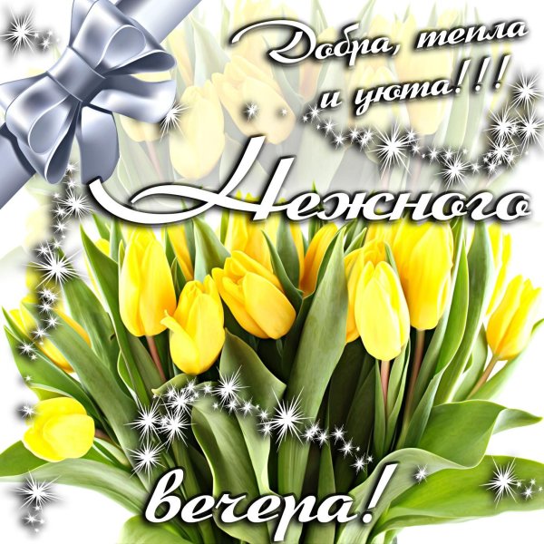 жëлтые тюльпаны