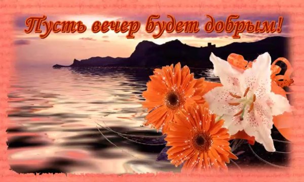 добрый вечер добрый вечер