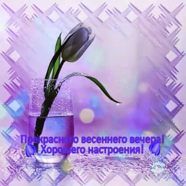 открытка добрый вечер весенняя