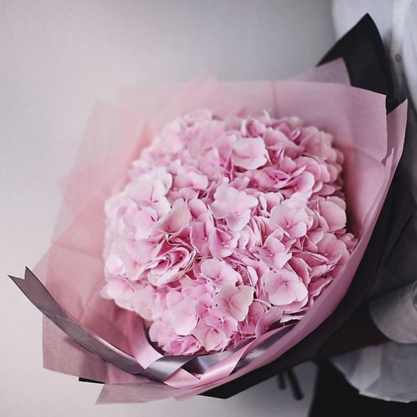 монобукет  гортензии