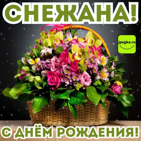 поздравление с днём рождения снежана