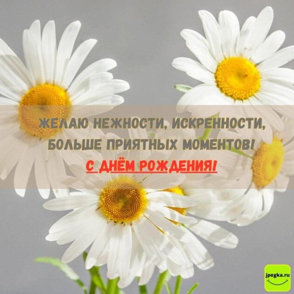 поздравления с днём рождения девушке ромашки