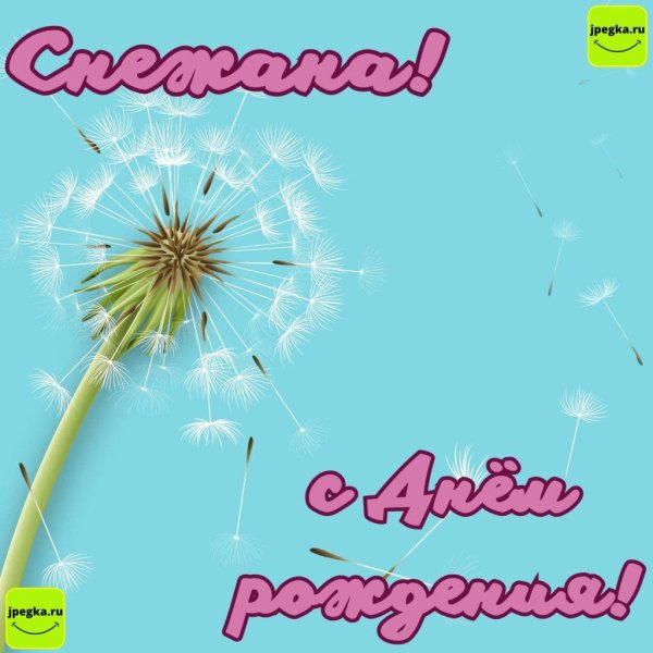 фон с одуванчиками