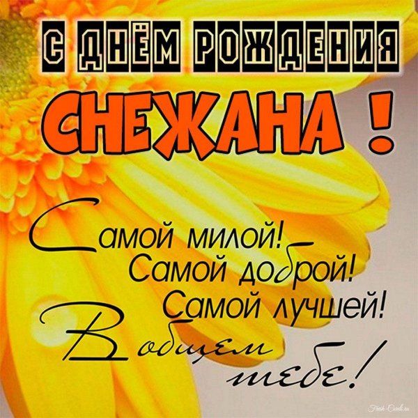 поздравление с днём рождения снежана