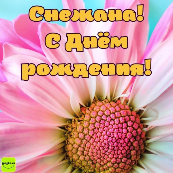 поздравление с днём рождения снежане открытка