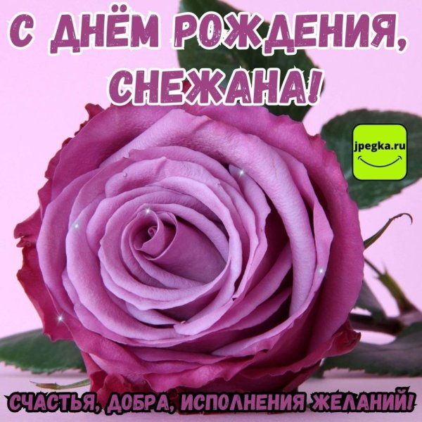 поздравление с днём рождения снежана