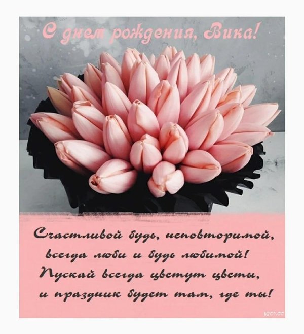 с день рождения вика