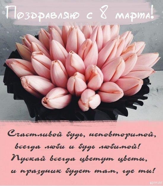 розовые тюльпаны