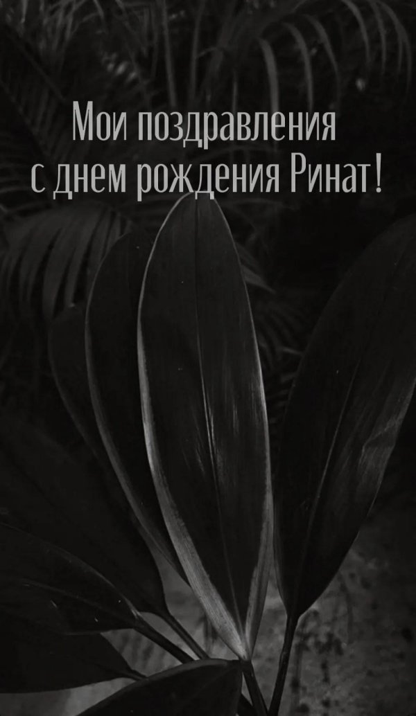 поздравление с днём рождения ринат