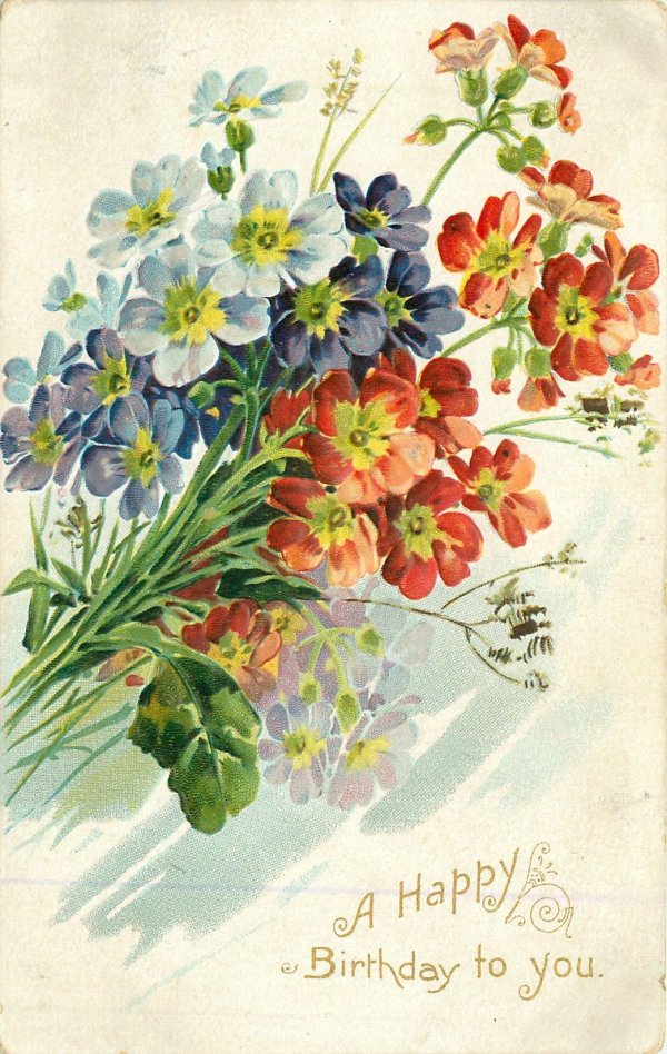 катарина кляйн незабудки