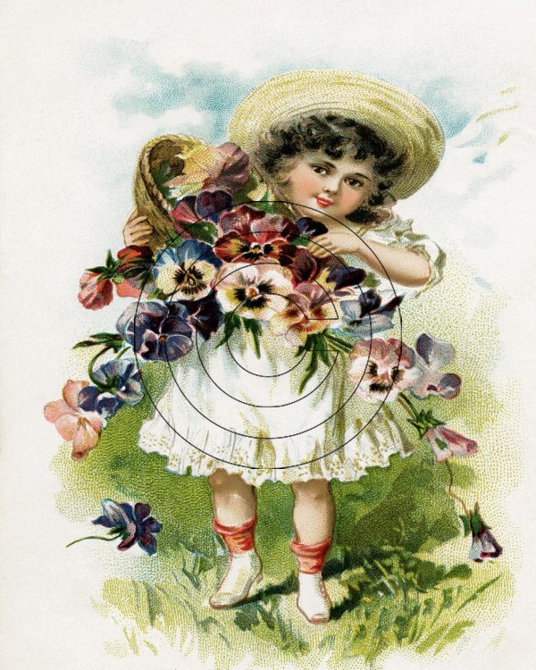 художник frances brundage