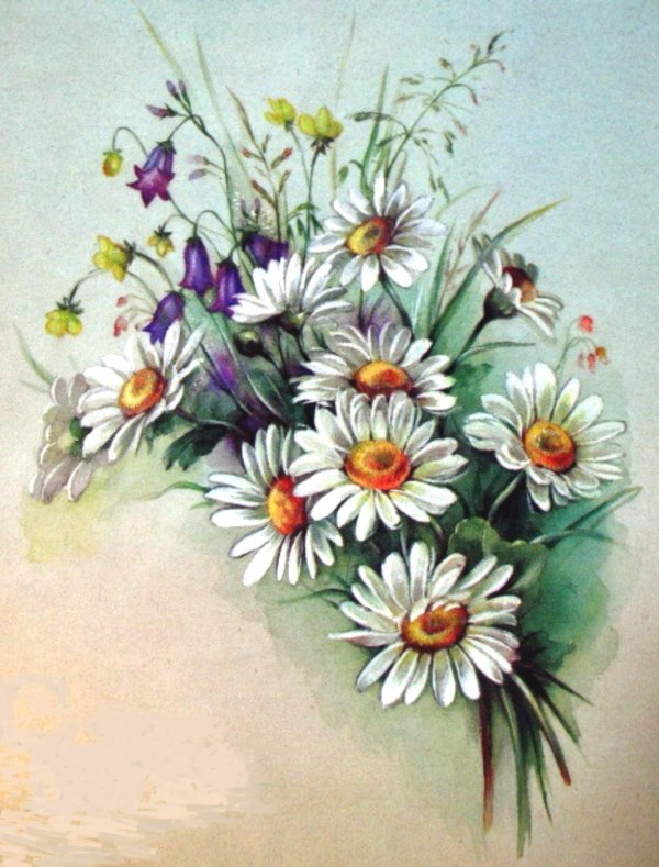 старинные открытки с ромашками