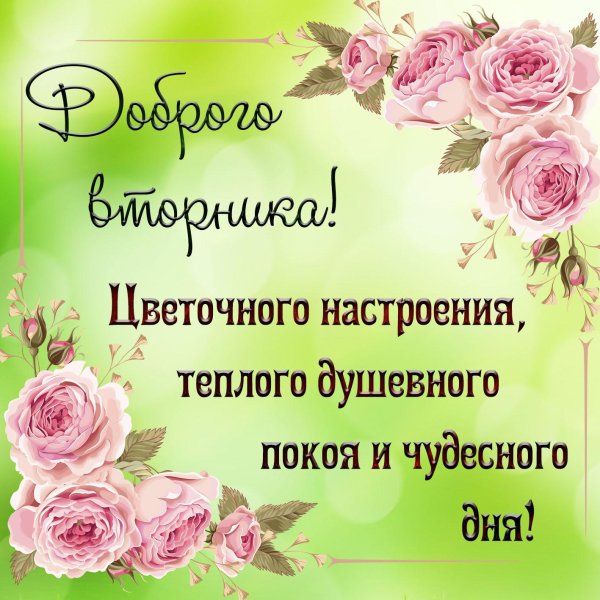 с добрым утром вторник