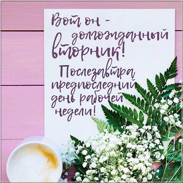 доброе утро во вторник