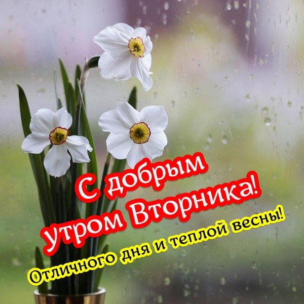 открытка с добрым утром весенним